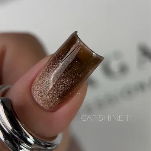 Cat Shine 11